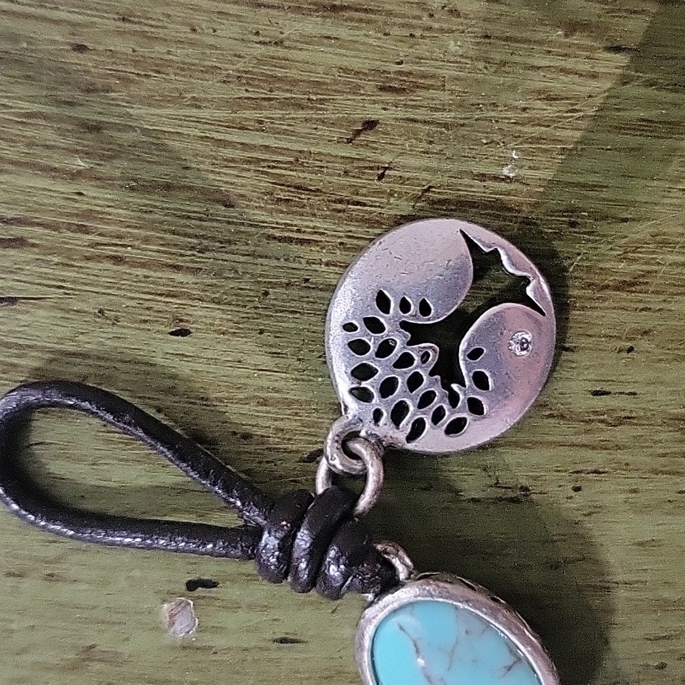 FOSSIL Set - Picture 3 of 7